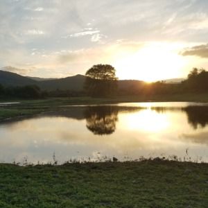 Meet your Posher, Nayeli